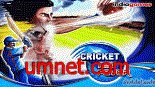 game pic for Cricket T20 Fever 640x360